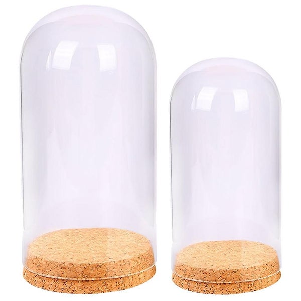 2 Pcs Cupcakes Glass Plants Cloche Cupcake Stand Diy Snow Globe Accessories Che Carousel 1