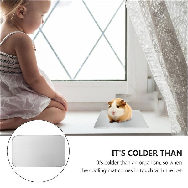4pcs Hamster Summer Aluminium Cooling Pad Rabbit Cold Plate Ice Bed Pet Supply Carousel 4