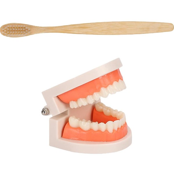 Kids Educational Toys Fake Braces Dental Mouth Model Dental Teeth Model Kit Fak Carousel 1
