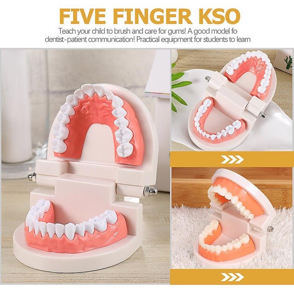 Kids Educational Toys Fake Braces Dental Mouth Model Dental Teeth Model Kit Fak Carousel 2