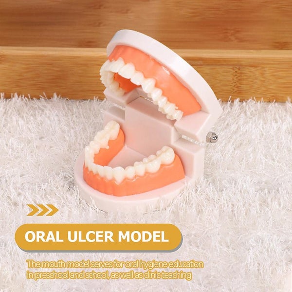 Kids Educational Toys Fake Braces Dental Mouth Model Dental Teeth Model Kit Fak Carousel 3
