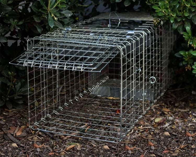 Humane Animal Trap Possum Trap Carousel 15