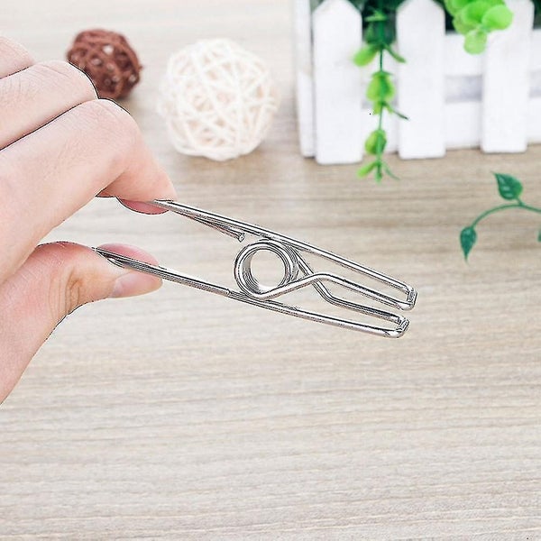 50pcs Stainless Steel Clips Multi purpose Clothes Clips Practical Quilt Clip Fo Carousel 2