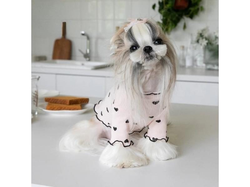 Autumn And Winter Pet Undercoat Clothes Embroidered Bear Waffle Home Vest Dog Carousel 1