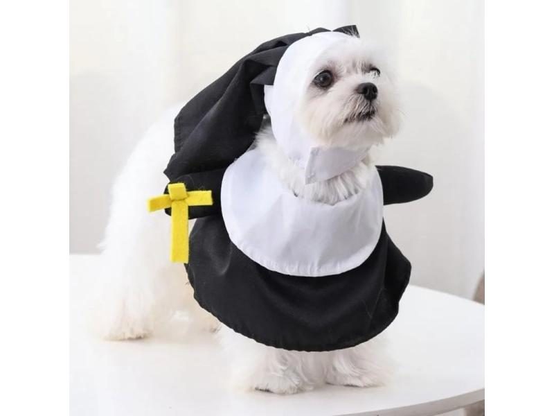 Dog Costume Carousel 1