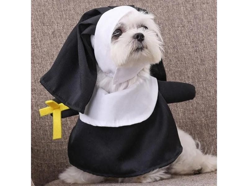 Dog Costume Carousel 2