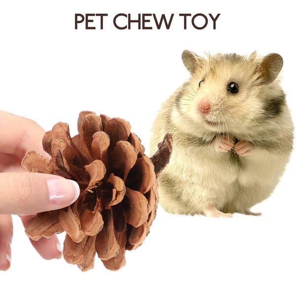 7pcs Rabbit Chew Toys Hamster Teething Toys Bunny Chewing Playthings Pet Chew T Carousel 3