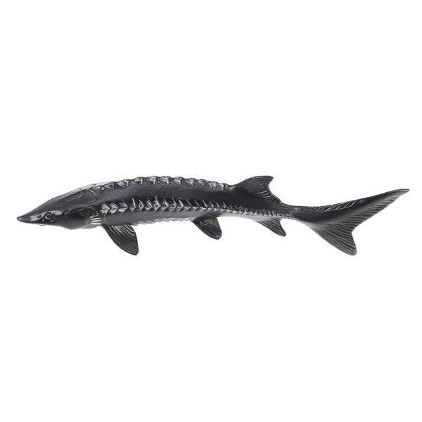 Kids Bath Toy Fish Photography Prop Marine Life Toys Fake Chinese Sturgeon Fish Carousel 1