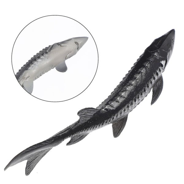Kids Bath Toy Fish Photography Prop Marine Life Toys Fake Chinese Sturgeon Fish Carousel 2