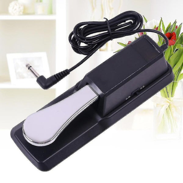 Universal Piano Keyboards Sustain Foot Pedal With Piano Style Action For Elect Carousel 2