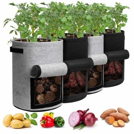 NEW New Grow Bag - NEW *IN STOCK NOW* Carousel 1