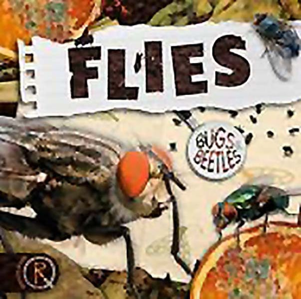 Flies (Bugs and Beetles) Carousel 1