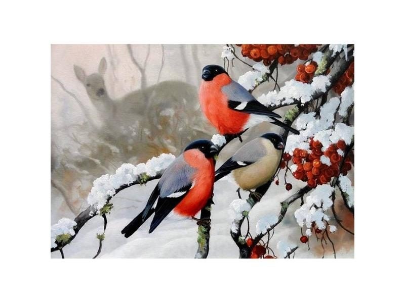 Full Drill Square Diamond 5D DIY Diamond Painting"Winter Birds"Diamond Carousel 1