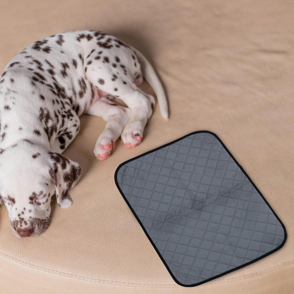 2 Pcs Rat Bedding Hamster Bedding Gerbil Bedding Dog Whelping Pad Incontinence Carousel 2