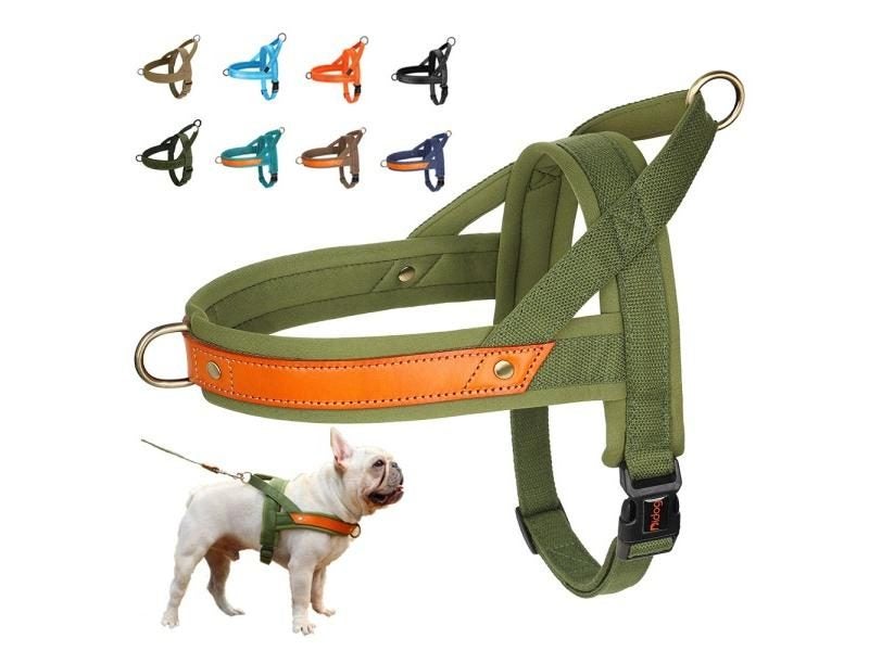 Dog Harness Carousel 2