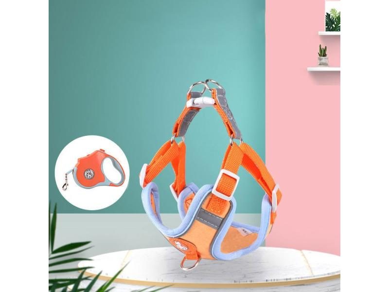 Adjustable Dog Harness No Pull Cute Cat Soft Walking Leash Set Pet Dog Vest Carousel 2