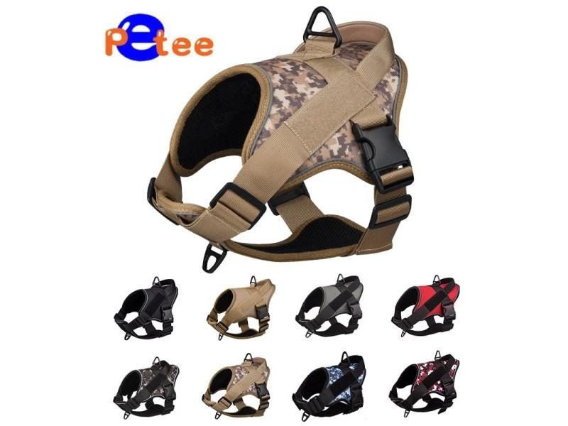 Dog Harness Carousel 2