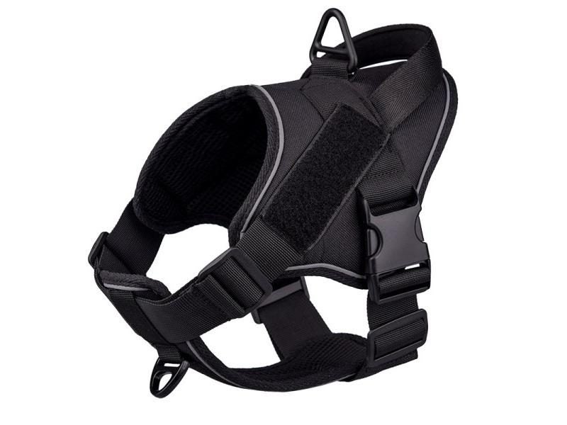 Dog Harness Carousel 1