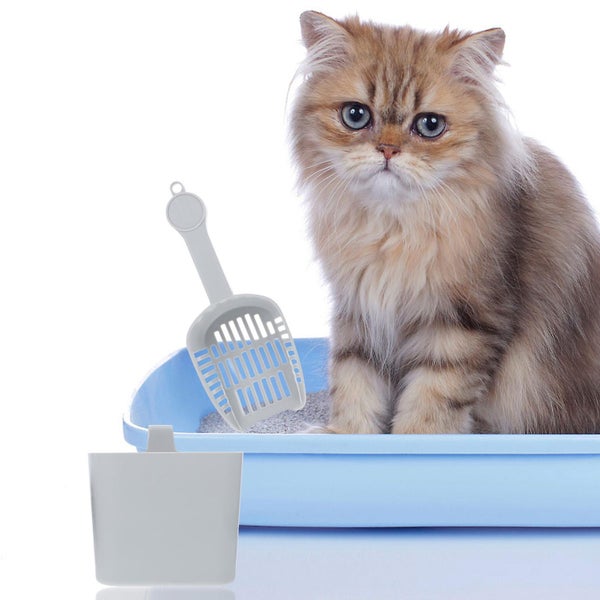 2 Pcs Spoons Set Cat Poop Scoop Kitten Litter Scoop Cat Litter Waste Receptacle Carousel 3