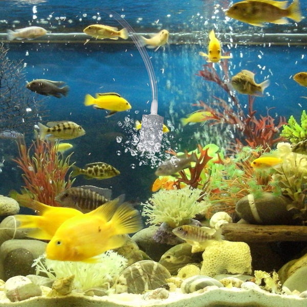 Usb Powered Fish Tanks Air Pump Aerator Pump Silent Aquarium Bubbler Pump Carousel 4