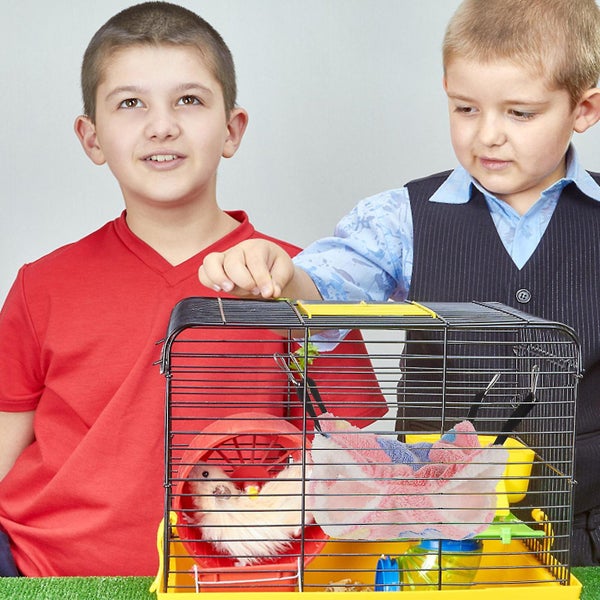 3 Pcs Playset Accessories Warm Hamster Bed Hamster Tent House Guinea Pig Hammoc Carousel 2