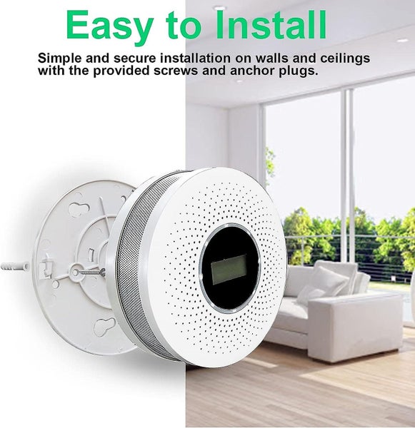 Combination Carbon Monoxide Alarm Detector Smoke Alarmdual Sensor Co Smoke Carousel 5