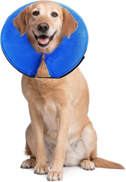 Inflatable Recovery Collar Comfortable Protective Collar For Dogs Cats Adjust Carousel 1