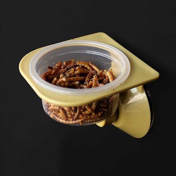 Suction Cup Reptile Water Food Feeder Wall Hanging Feeding Dish Bowl Spider Br Carousel 2