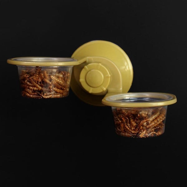 Suction Cup Reptile Water Food Feeder Wall Hanging Feeding Dish Bowl Spider Br Carousel 4