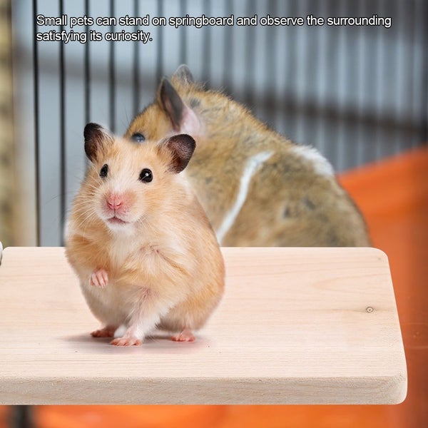 Small Pet Natural Wood Stand Platform Toy Rectangular Wooden Jumping Climbing Carousel 2