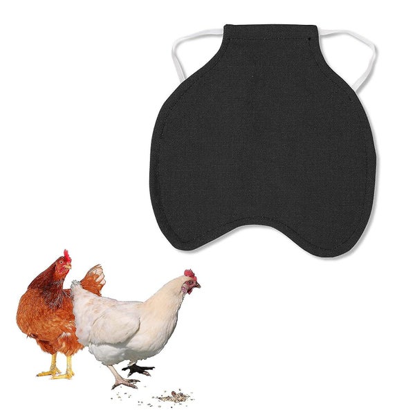 5 Pcs Chicken Saddle Hen Wing Protector Chicken Back Protector Hen Apron C Carousel 1