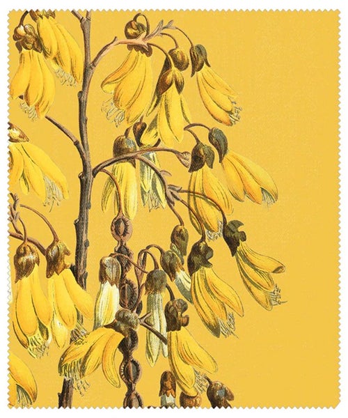 Vintage Botanical Lens Cloth - Kowhai Carousel 1