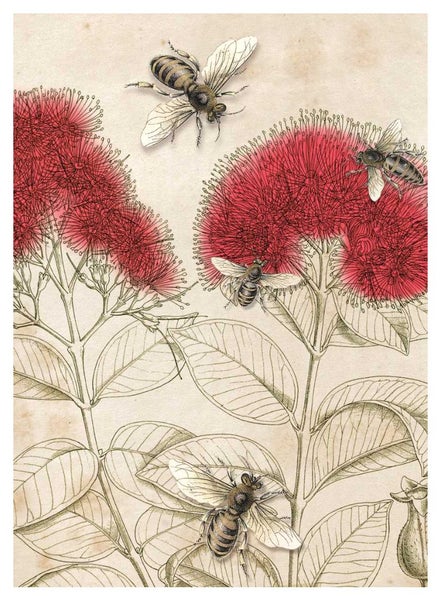 Pohutukawa & Bee - Lens Cloth Carousel 1