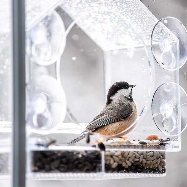 Window Bird Feeder Outdoor Bird Feeder For Wild Birds Carousel 2