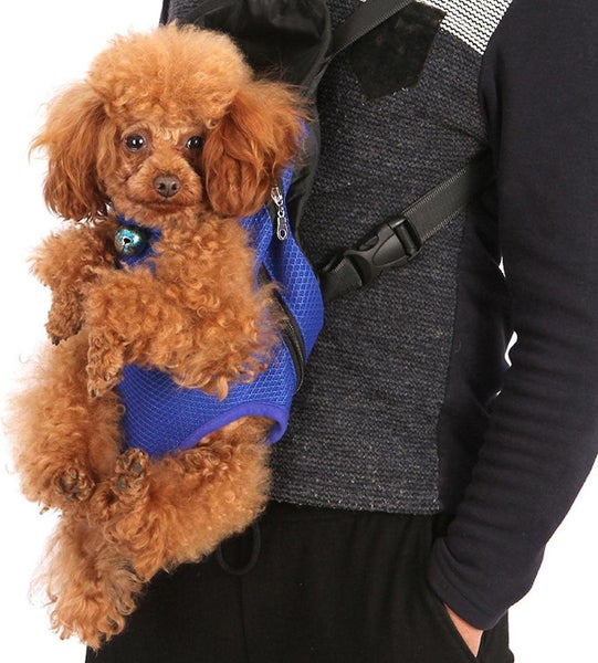 Universal Pet Backpackxl 41*25cm Travel Backpack For Dogs And Cats-adjustable Carousel 2