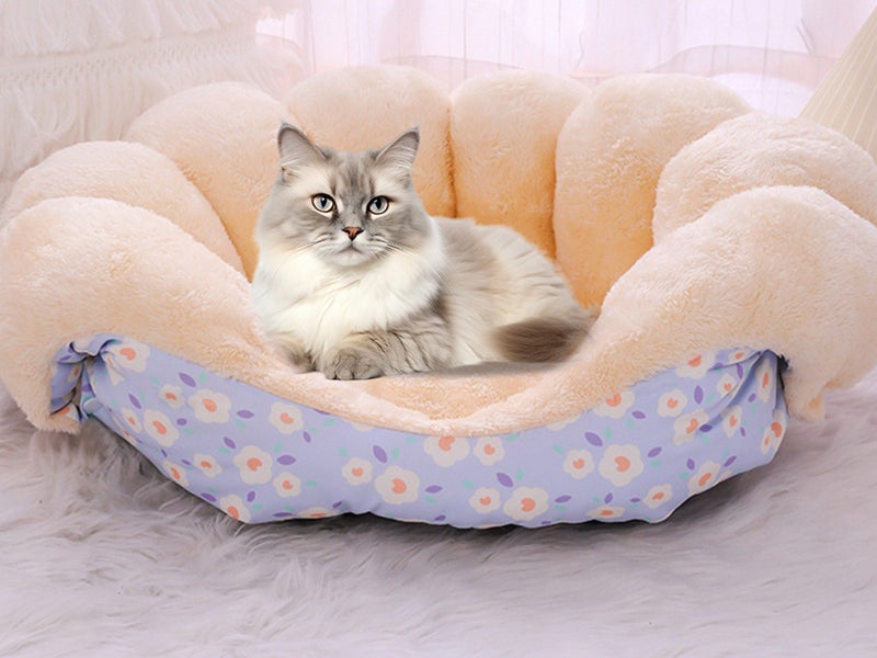 2-in-1 Bed and Couch Warming Cat Sofa Bed Blue Carousel 1