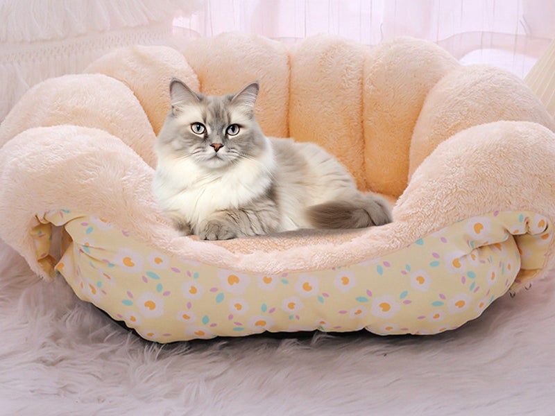2-in-1 Bed and Couch Warming Cat Sofa Bed Yellow Carousel 1