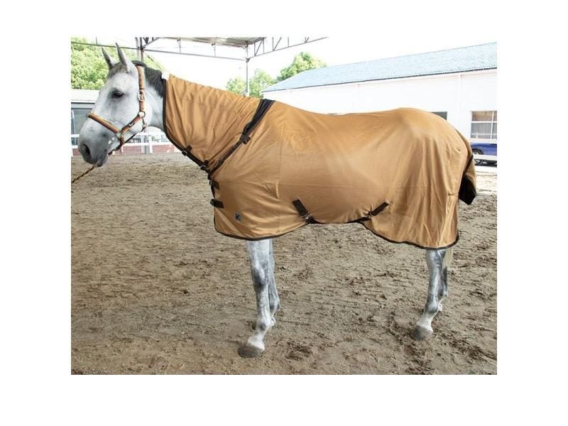Spring And Autumn Mesh Horse Clothes Mosquito And Insect Prevention Breathable Carousel 1