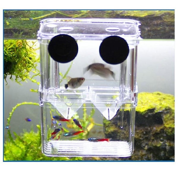 Fish Breeding Box Floating Aquarium Acrylic Hatchery Baby Fish Shrimp Hatche Carousel 1