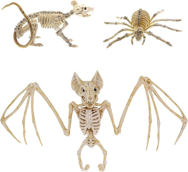 3pcs Halloween Bat Skeleton Halloween Spider Skeleton Halloween Mouse Skeleton Carousel 1