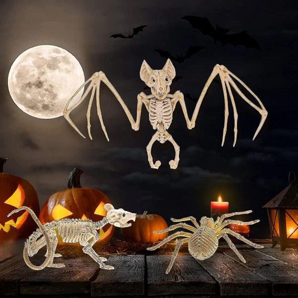 3pcs Halloween Bat Skeleton Halloween Spider Skeleton Halloween Mouse Skeleton Carousel 5