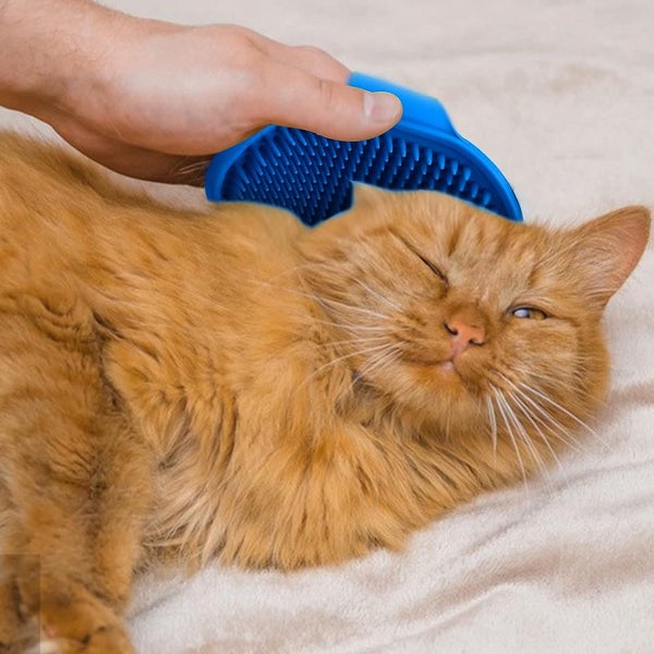 Rose Red Blue Dog Bath Brush Cat Comb 2 Pieces Silicone Rubber Dog Grooming Pu Carousel 5