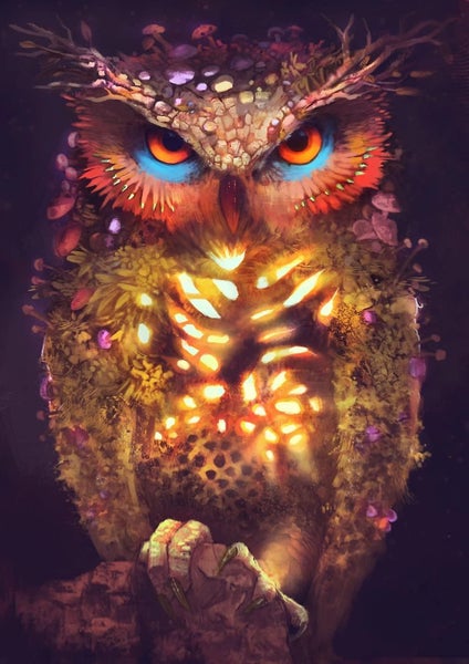 Owl Diamond Art Kits For Adults Diamond Painting Kits For Adults Beginners Carousel 1