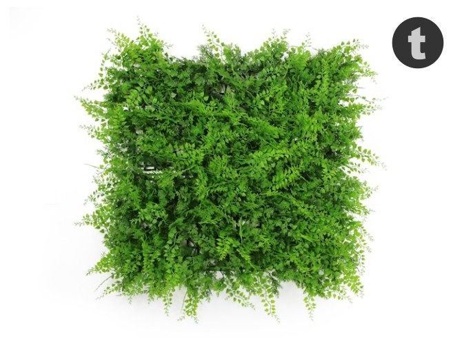 Artificial Green Wall Fern Fusion 3m² Carousel 1