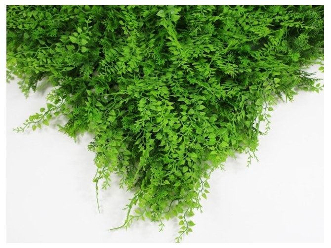 Artificial Green Wall Fern Fusion 3m² Carousel 2