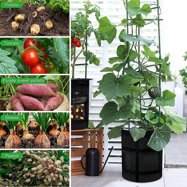 3 Pack Of 10 Gallon Planting Bags With Harvest Window Potato Planting Bags W Carousel 5