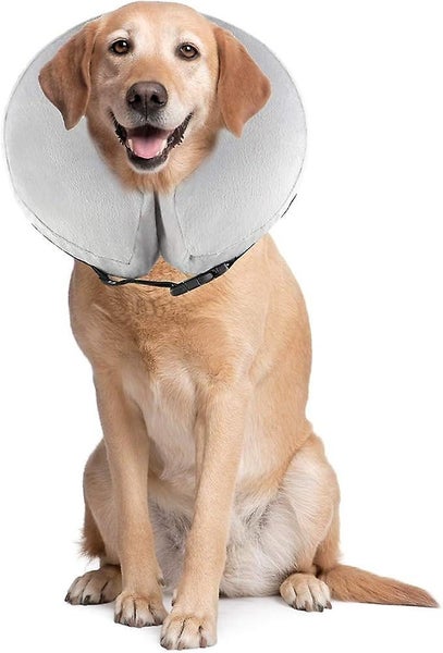 Pet Inflatable Recovery Collar Comfortable Protective Collar For Dogs Cats Ad Carousel 1