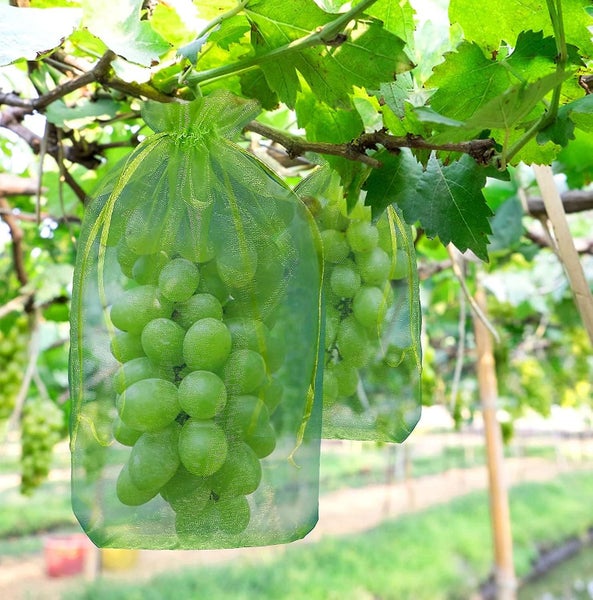 50 Pieces Grape Bunch Protection Bag Organza Fruit Bag With Drawstrings Gives Carousel 1