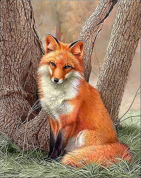 Diy 5d Diamond Paint Kit Adult Kids Full Drill fox 3040cm Diamond Art Kit Carousel 1