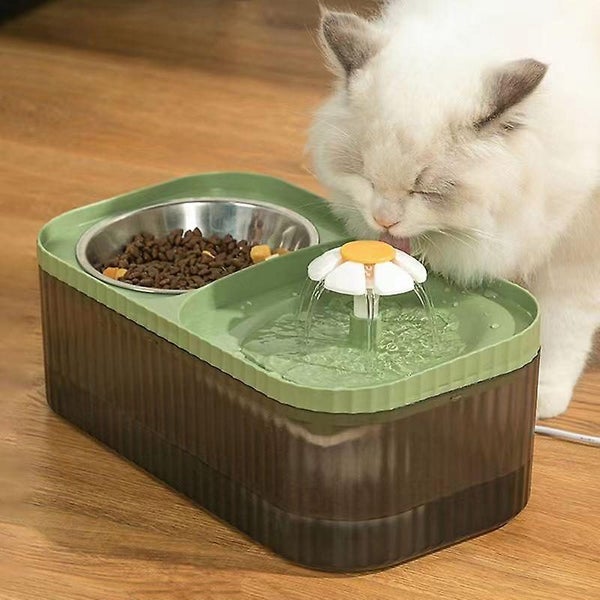 Water Fountain For Cats Inside Cat Feeding Watering Supplies Super Quiet A Carousel 1